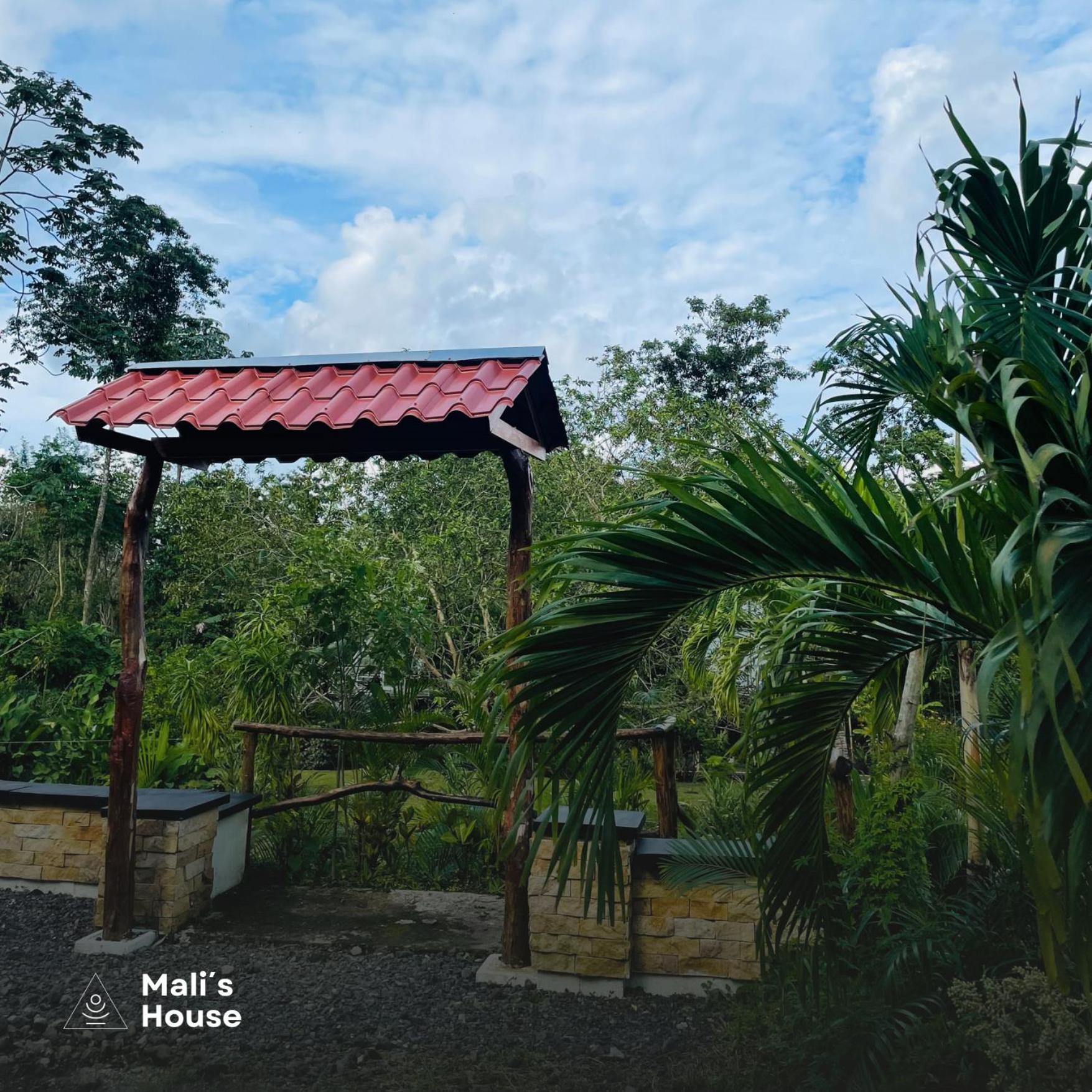 Mali'S House Hotel La Fortuna Ngoại thất bức ảnh