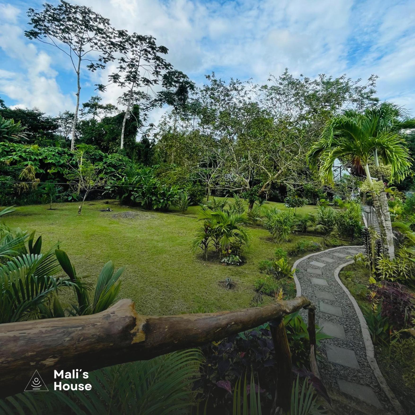 Mali'S House Hotel La Fortuna Ngoại thất bức ảnh